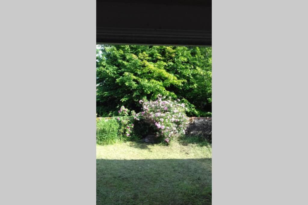 Jardin De Cure Villa Cluny Dış mekan fotoğraf